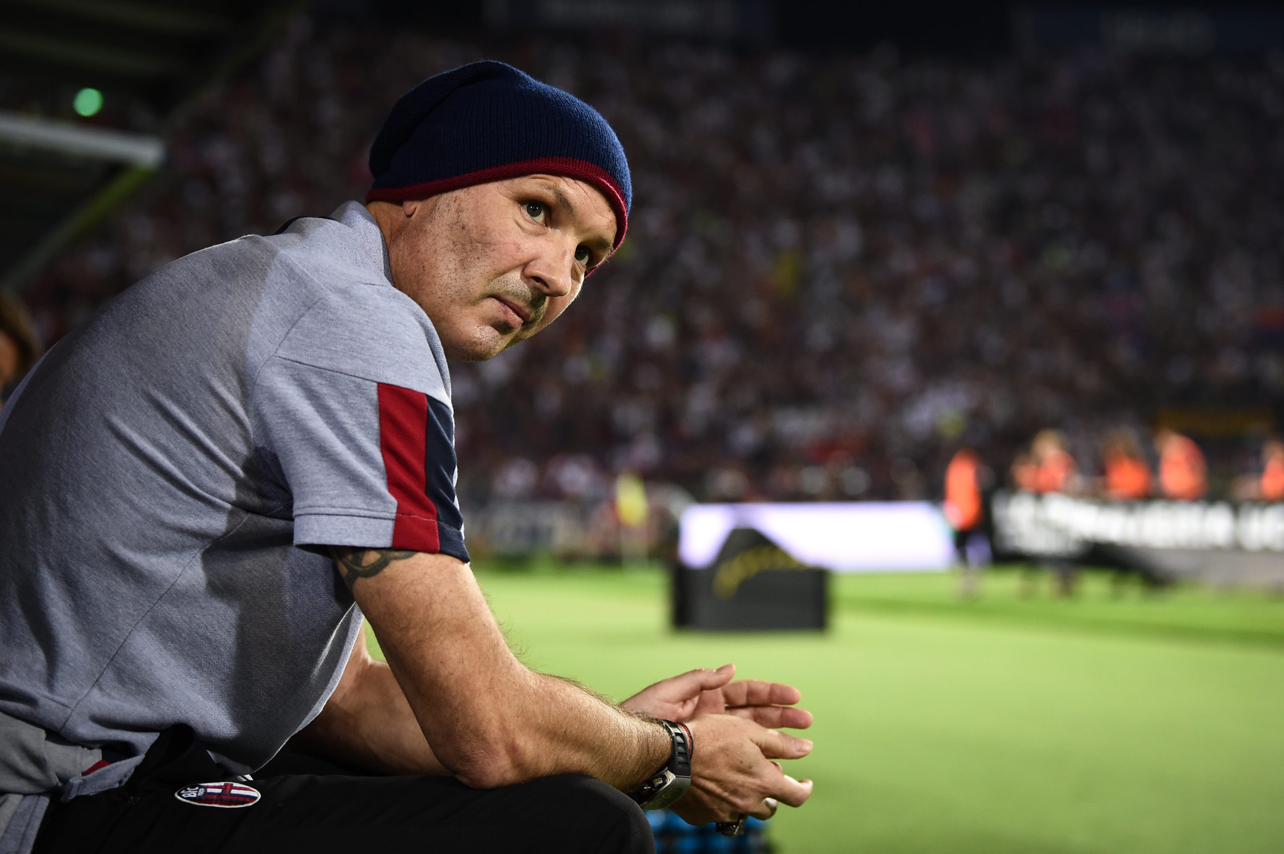 Bologna Mihajlovic Leucemia