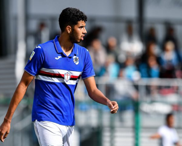 Calciomercato Sampdoria Rocha Sampdoria Cosenza Calciomercato