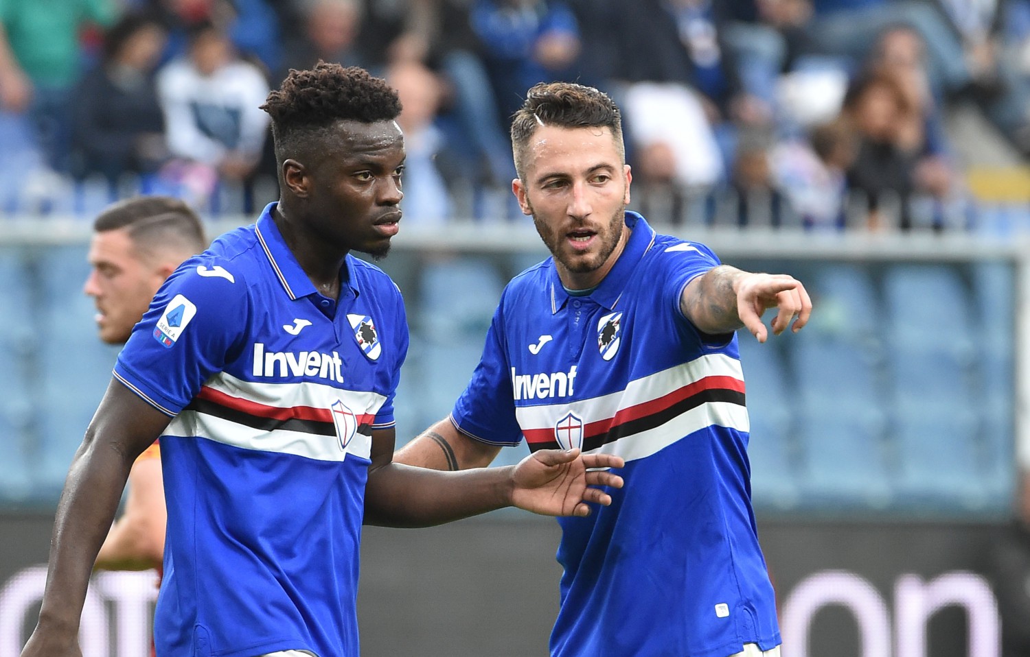 Vieira Bertolacci