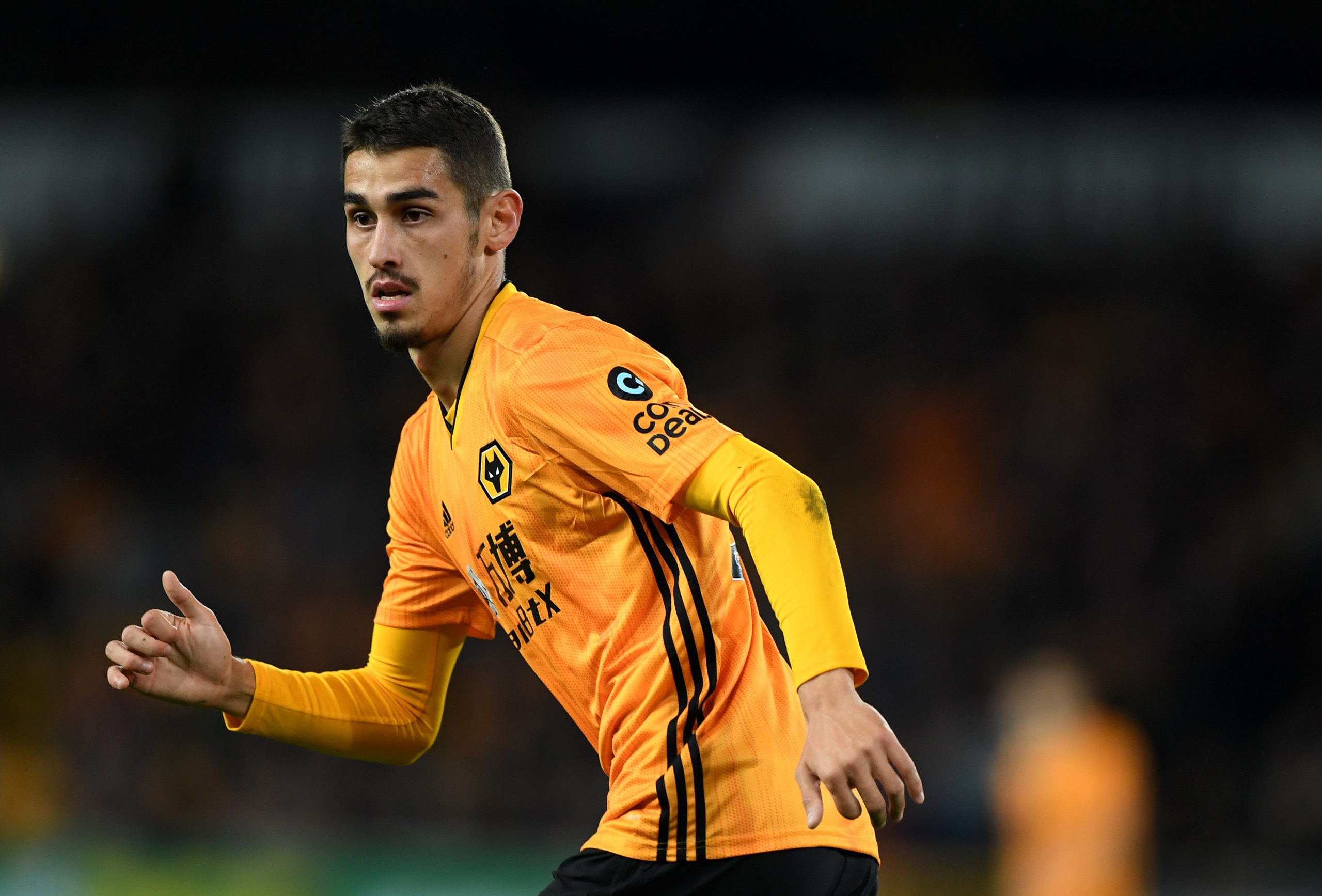 Calciomercato Sampdoria Shabani