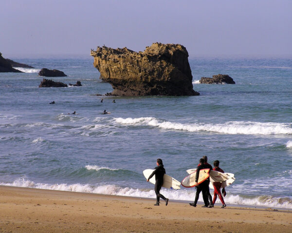 Surf Biarritz Parigi