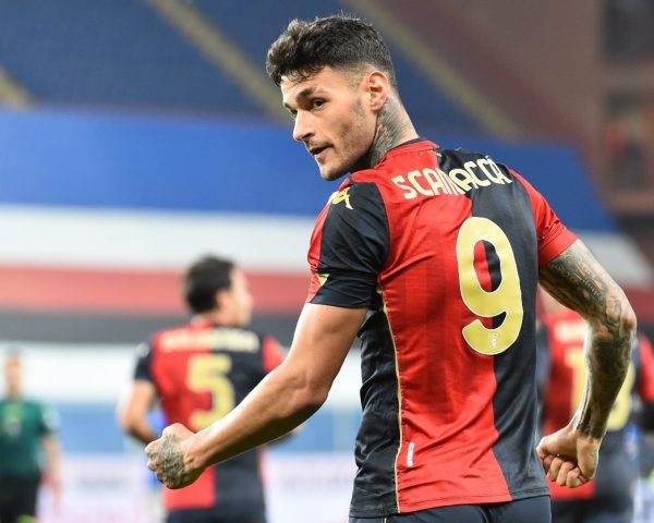 Calciomercato Sampdoria Faggiano Scamacca