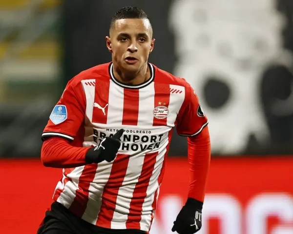 Ihattaren Sampdoria D'aversa Nuovi Acquisti