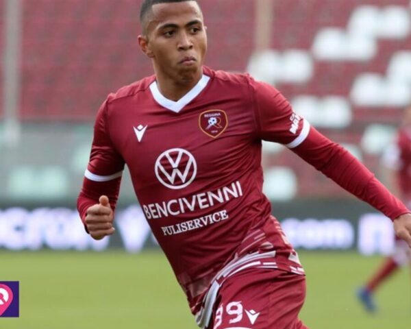 Calciomercato Sampdoria Reggina Fallimento Club Giocatori
