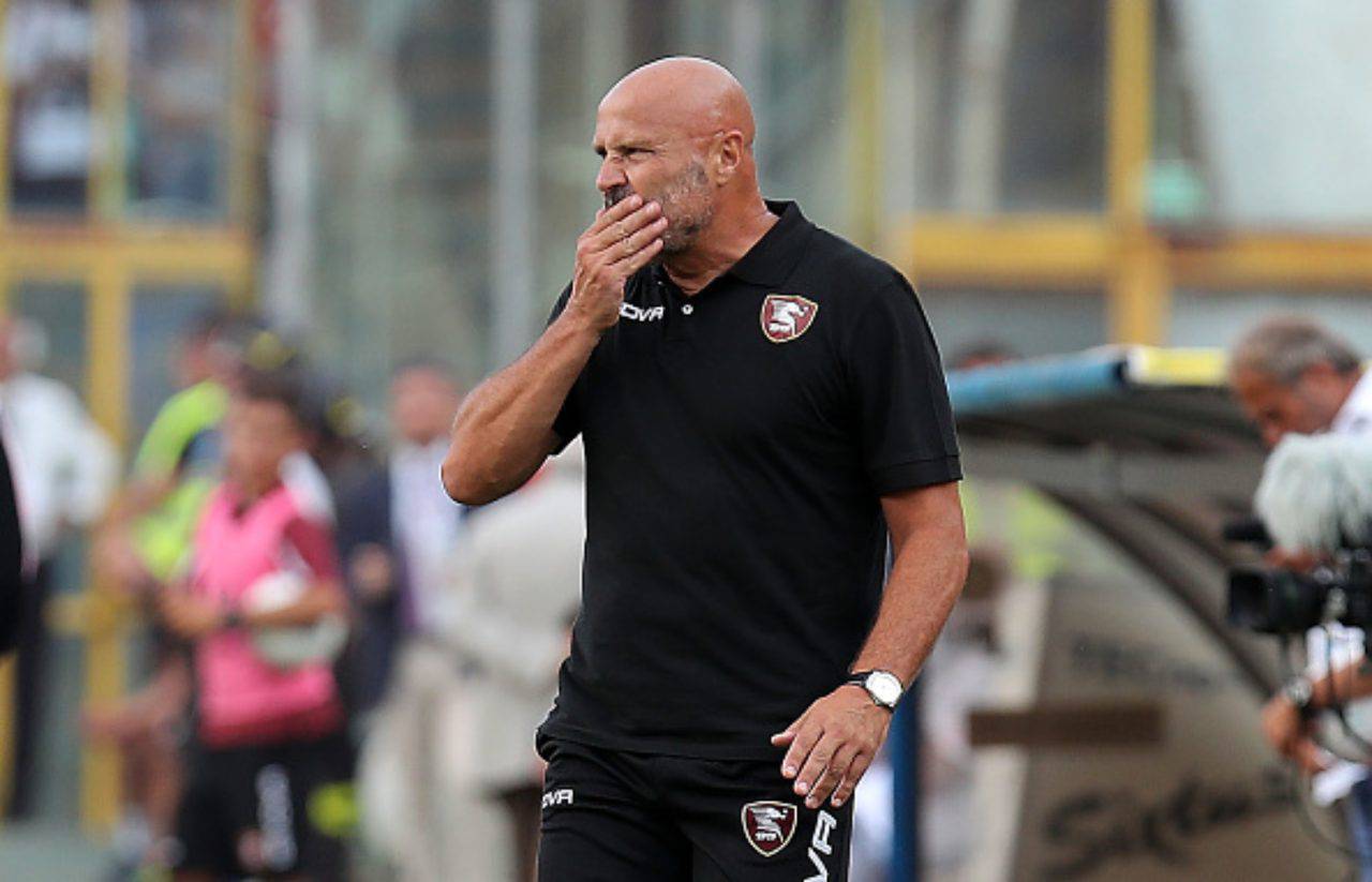 Salernitana Sampdoria Colantuono Nicola Salvezza