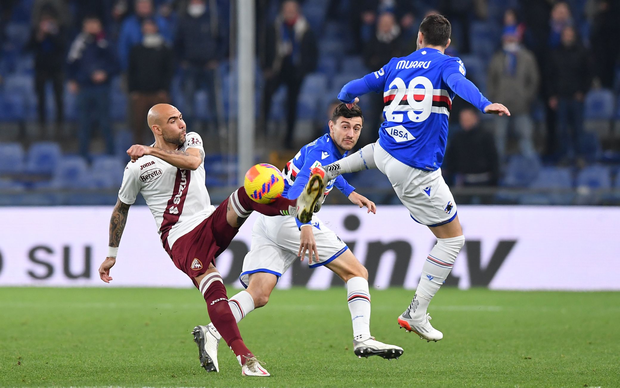 Sampdoria Torino