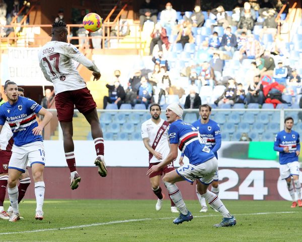 Sampdoria Torino Punti Persi