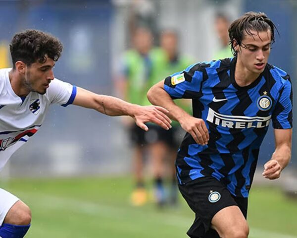 Calciomercato Sampdoria Ercolano