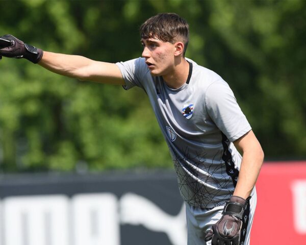 Calciomercato Sampdoria Saio