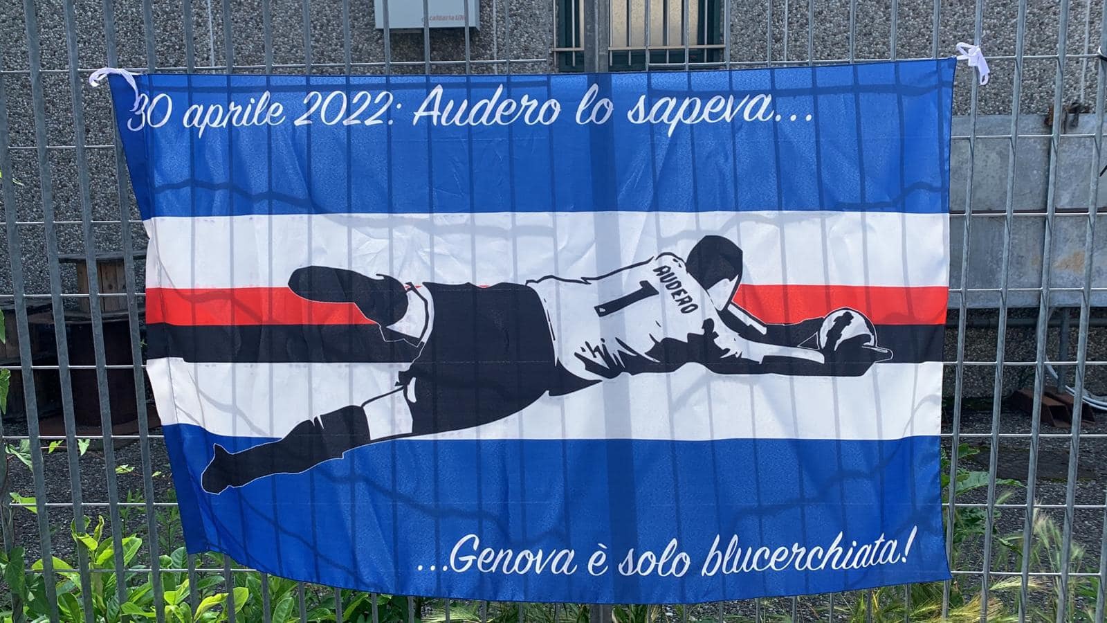 Sampdoria Audero Federclubs Bandiera