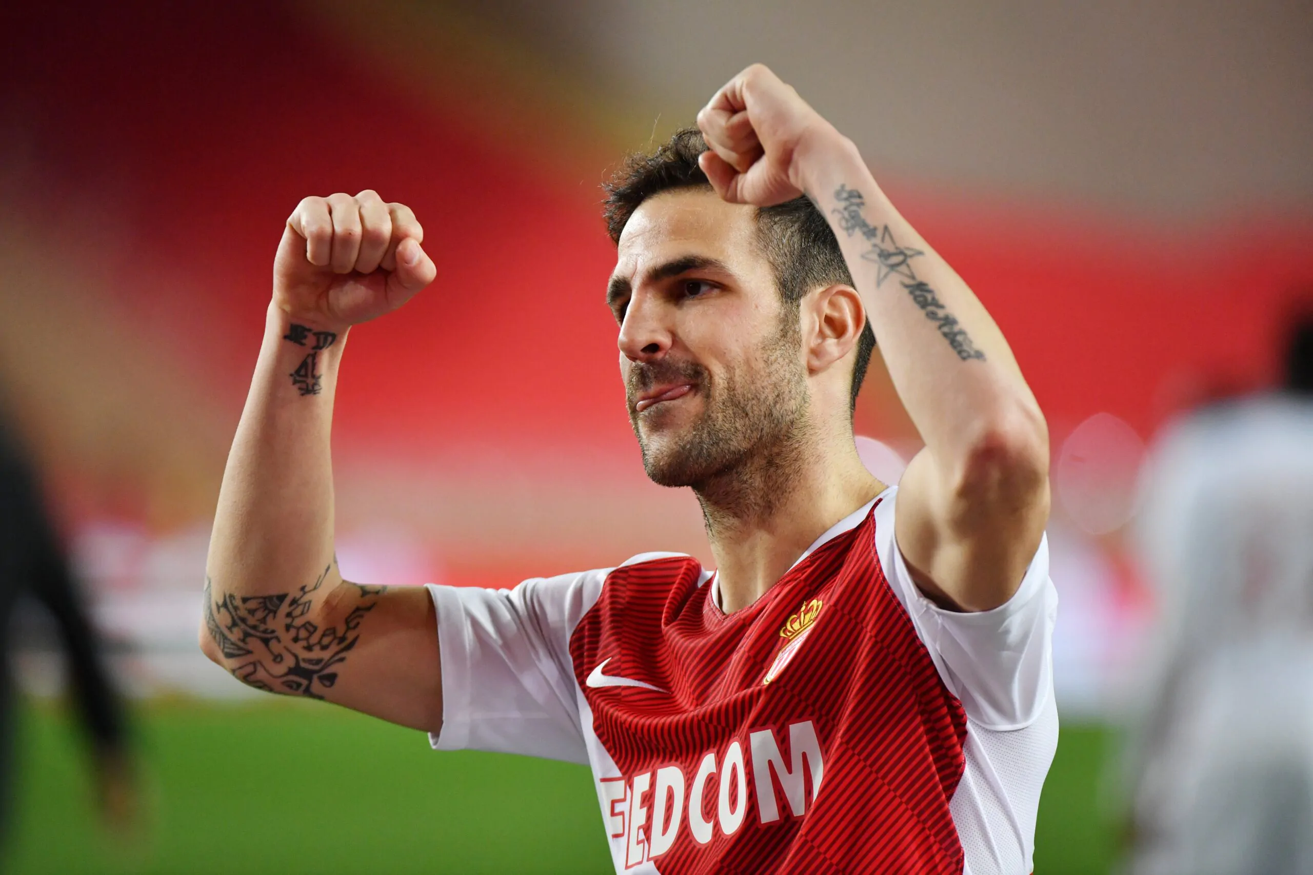 Calciomercato Sampdoria Cesc Fabregas Como