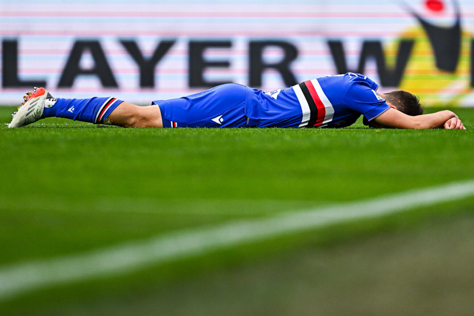 sampdoria stankovic attacco