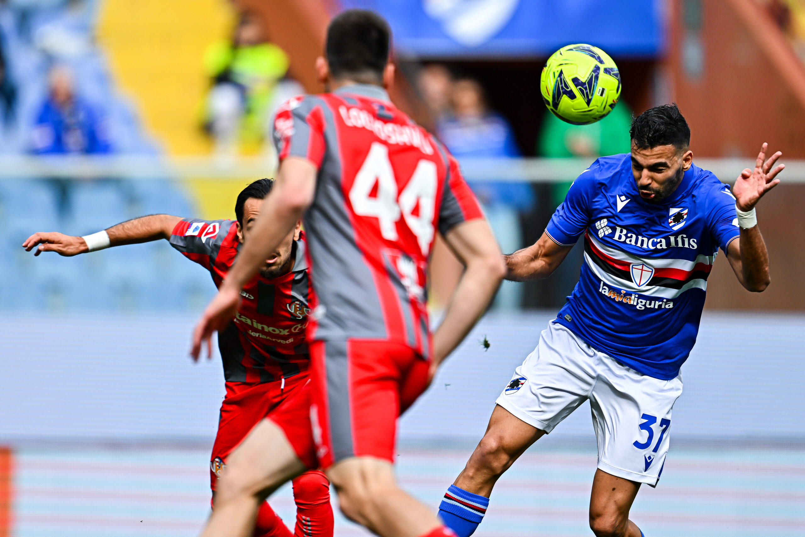 Sampdoria Floccari