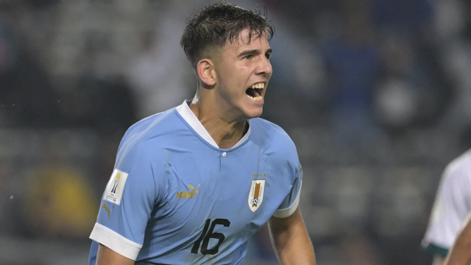 calciomercato sampdoria ascoli facundo gonzalez ferrari