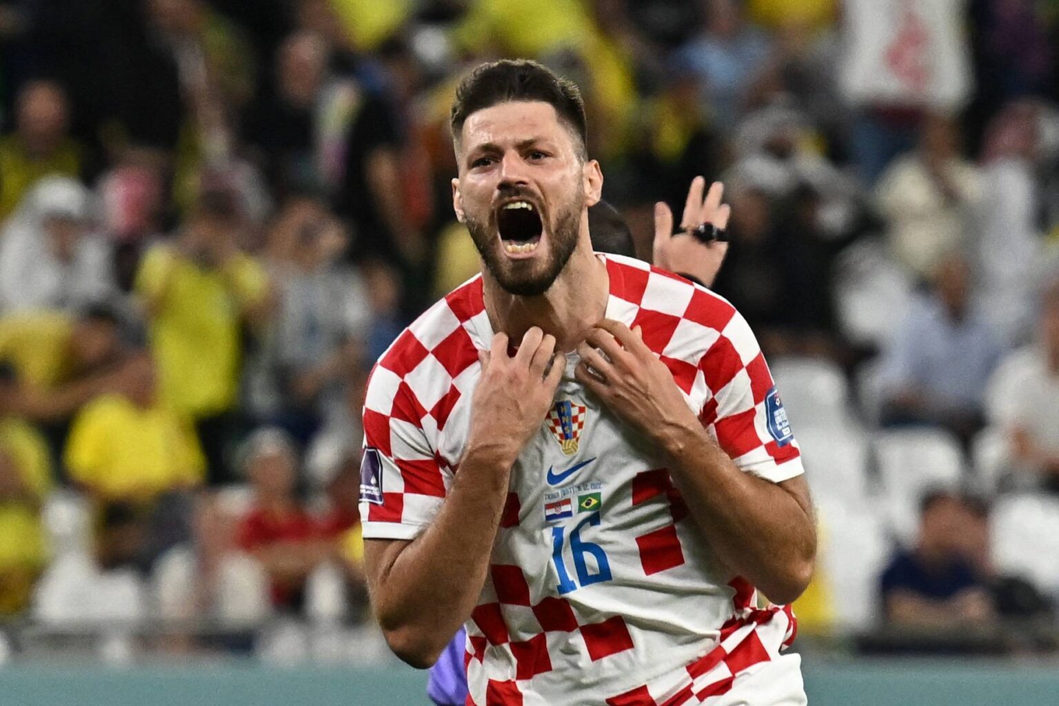 calciomercato sampdoria Bruno Petkovic