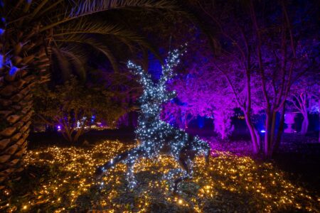 Lights Nature Life Mondo italia