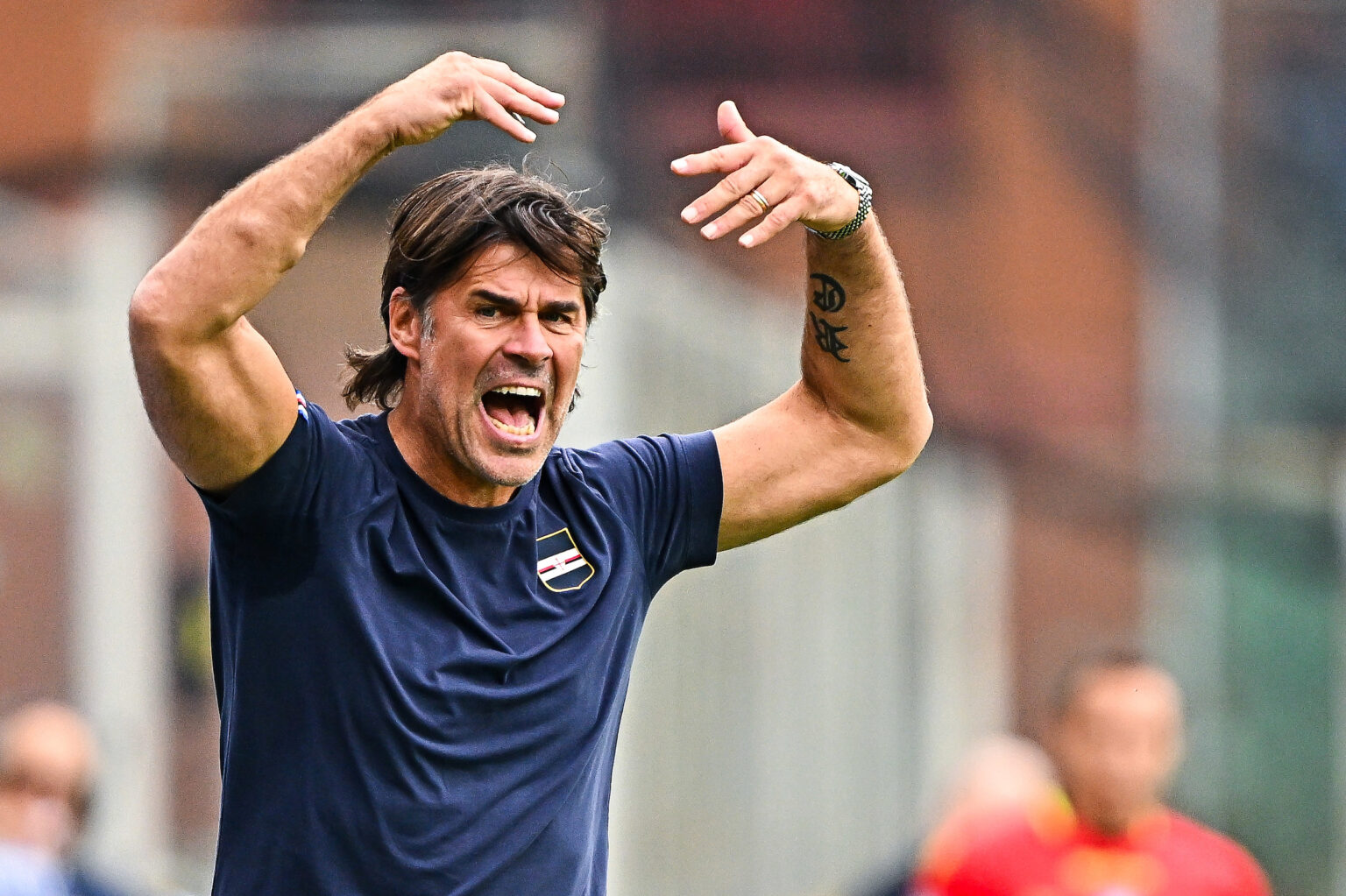 panchina sampdoria sottil