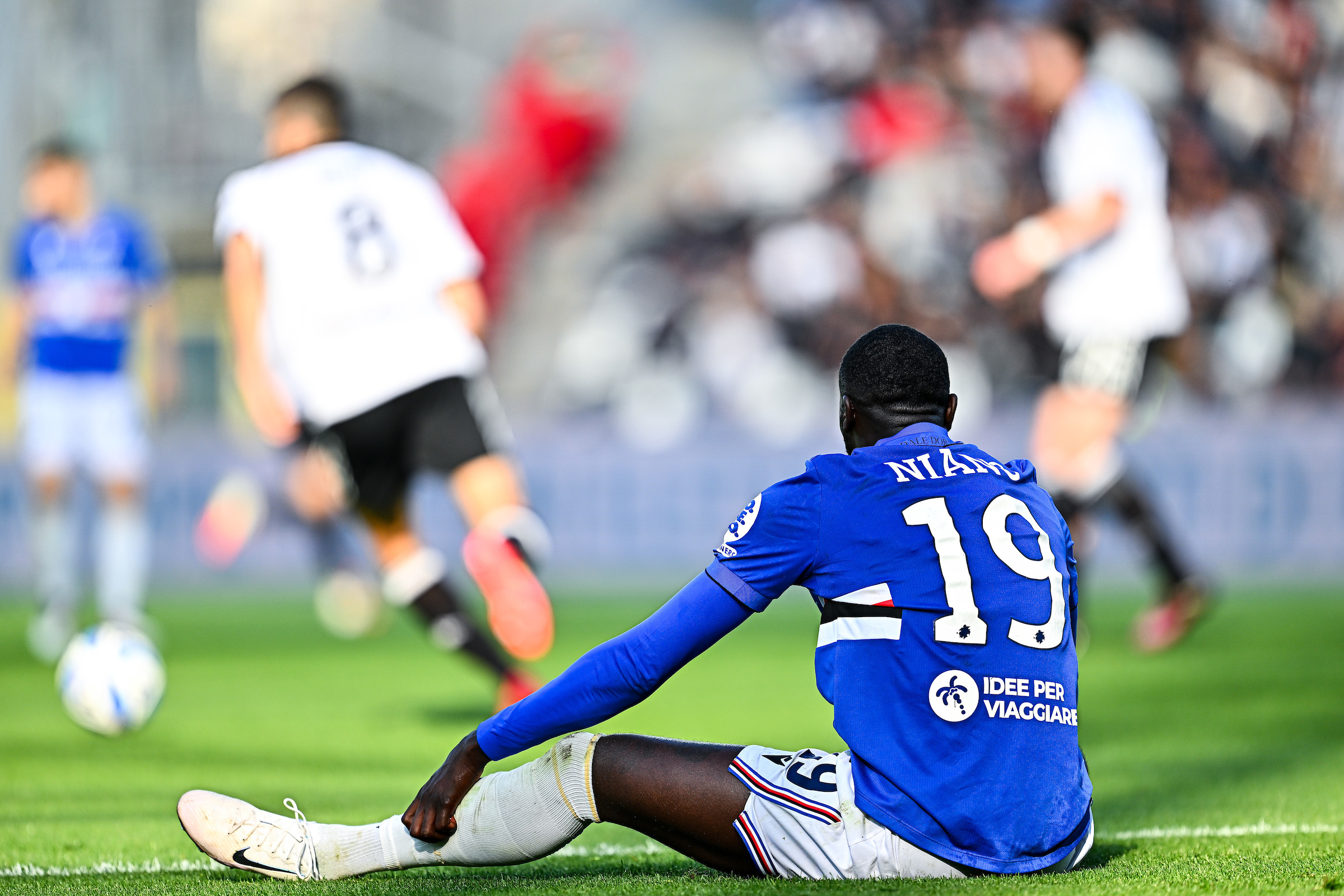 Sampdoria salvezza Cittadella Salernitana calendario