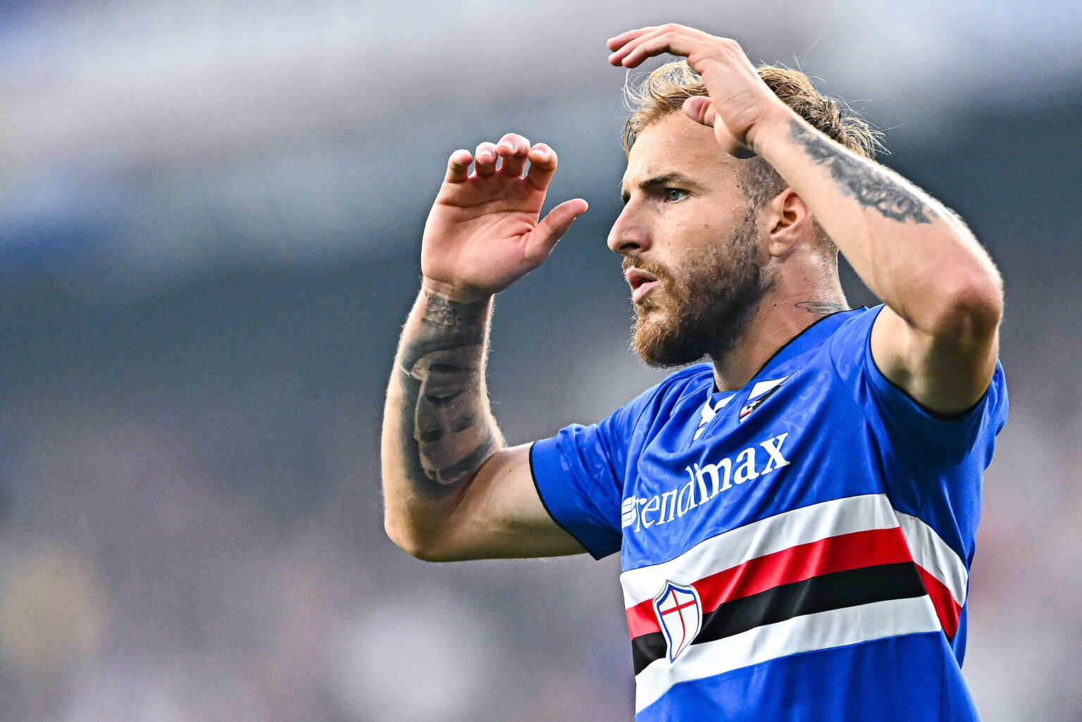 Calciomercato Sampdoria Bari Giuseppe Sibilli