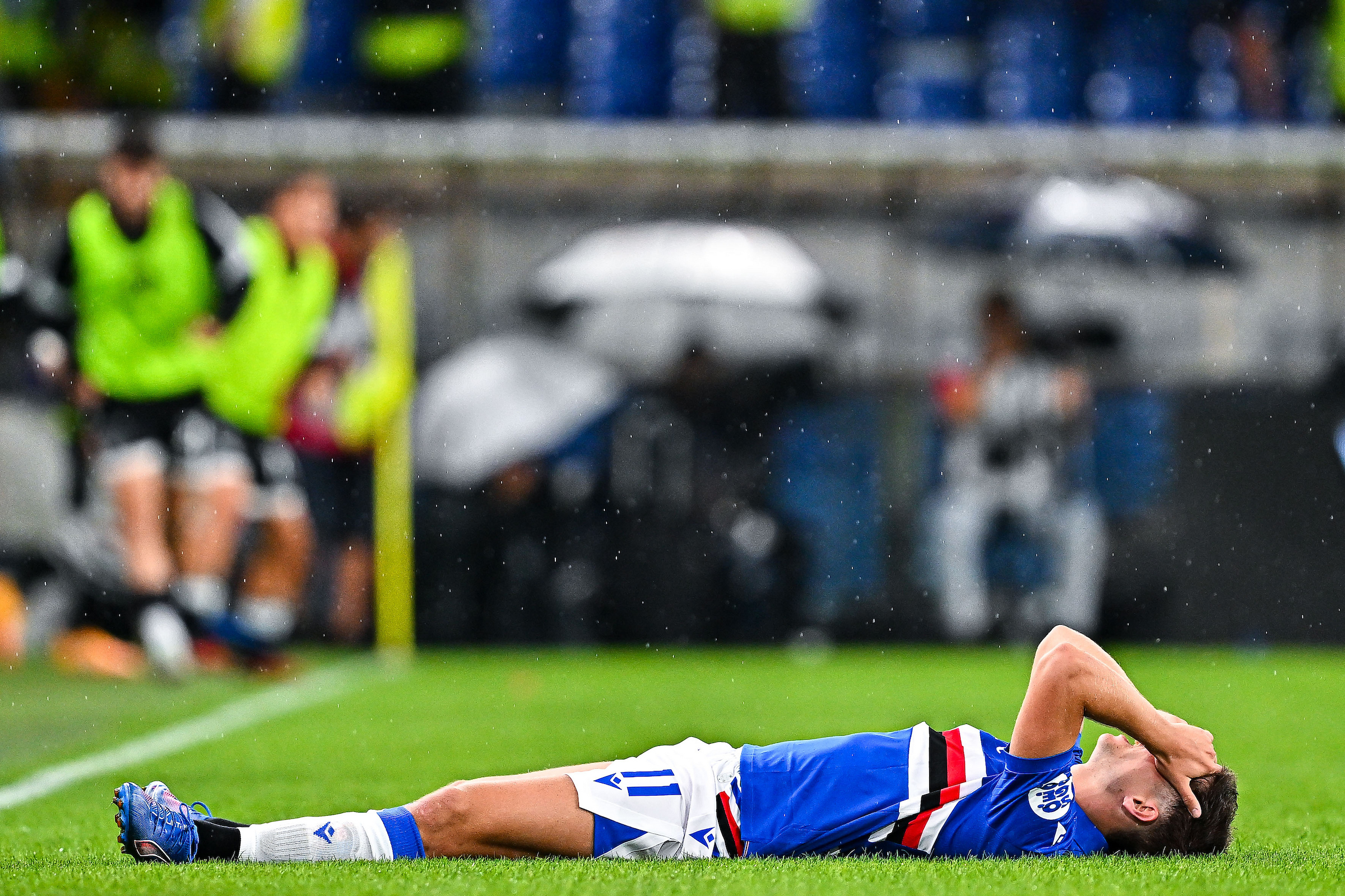 Sampdoria Donati Pedrola