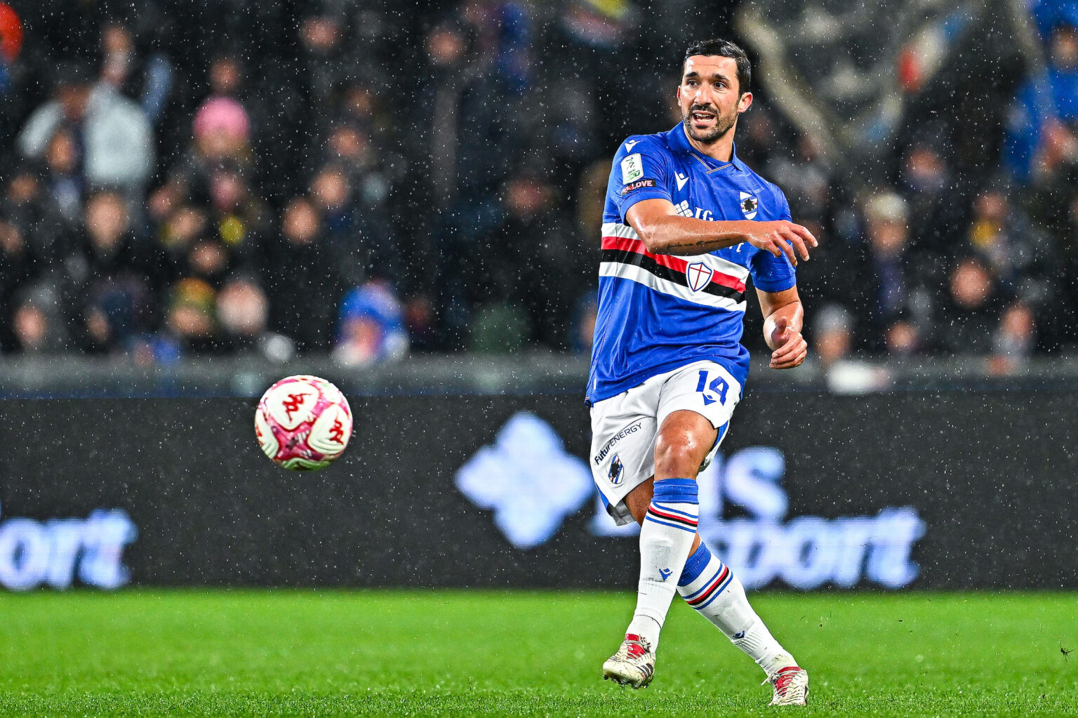 calciomercato Sampdoria Bellemo Spezia