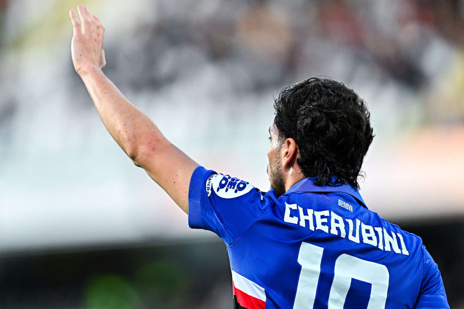 Sampdoria Cherubini obiettivo tifosi