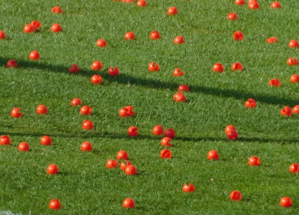 FOTO – Contestazione Sampdoria, nasi rossi in campo, manifesti e uno striscione per Walker e Fredberg Contestazione Sampdoria Walker Fredberg La Sud