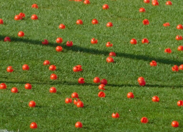 FOTO – Contestazione Sampdoria, nasi rossi in campo, manifesti e uno striscione per Walker e Fredberg Contestazione Sampdoria Walker Fredberg La Sud