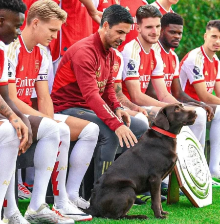Premier League, l’Arsenal ha una mascotte a quattro zampe. La storia Premier League Arsenal